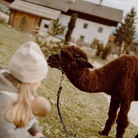 Feuerstein Nature Family Resort Колле-Изарко Экстерьер фото