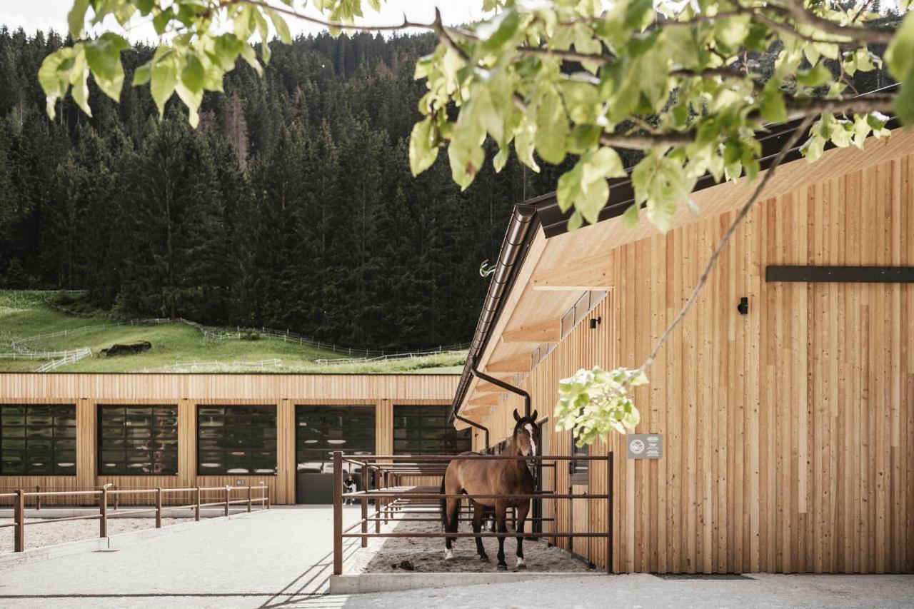 Feuerstein Nature Family Resort Колле-Изарко Экстерьер фото